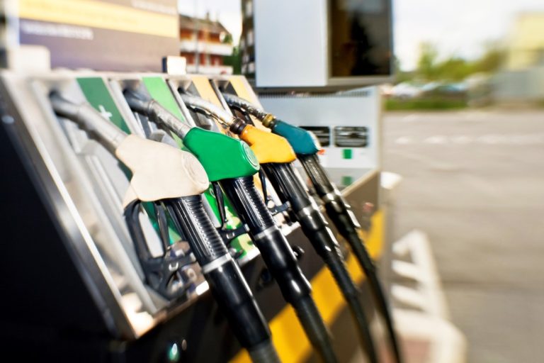 Bioenergie hängt von 14 Pflanzen ab