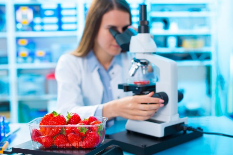 Outsourcing, unternehmerische Chance für den Zuckersektor