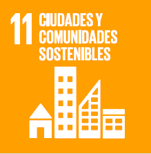 sdg11