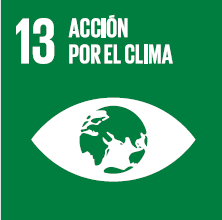 sdg13