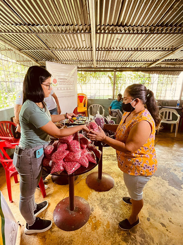 Más de 170 vallecaucanos participan en la conformación de huertas familiares sostenibles