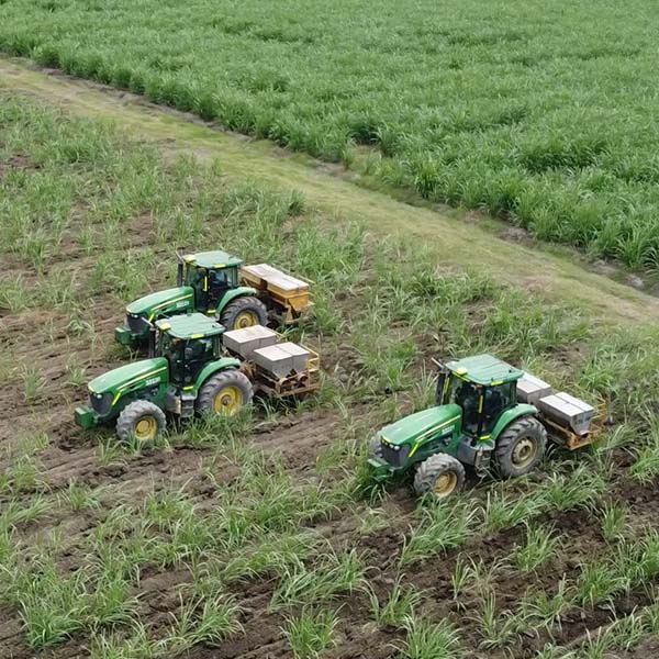 FERTILIZACION TASA VARIADA