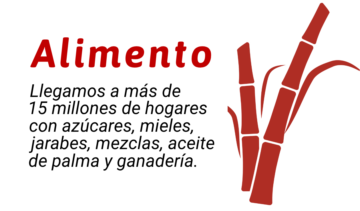 https://www.riopaila-castilla.com/wp-content/uploads/2026/10/Actualizacion-pagweb1-23.png