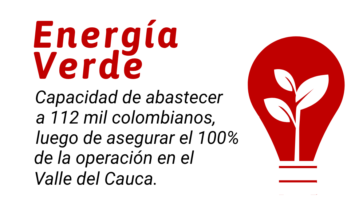 https://www.riopaila-castilla.com/wp-content/uploads/2026/10/Actualizacion-pagweb1-24.png