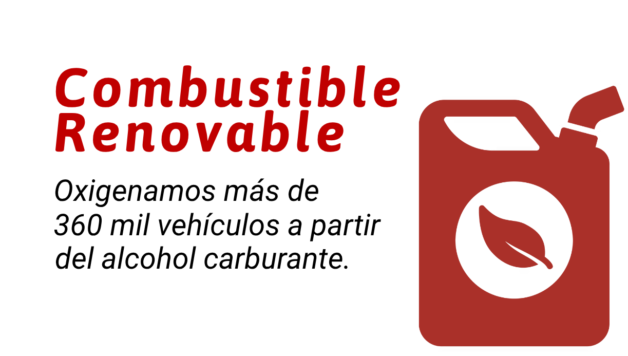 https://www.riopaila-castilla.com/wp-content/uploads/2026/10/Actualizacion-pagweb1-25.png